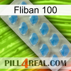 Fliban 100 22